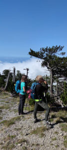 2 - trekking monte la caccia- trifari-santa croce - escursioni in calabria