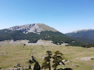 4-comp-Giardino-degli-Dei-Trekking-Calabria-Survival