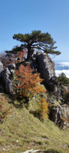 7 - trekking monte la caccia- trifari-santa croce - escursioni in calabria