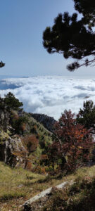 8 - trekking monte la caccia- trifari-santa croce - escursioni in calabria