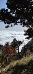 9 - trekking monte la caccia- trifari-santa croce - escursioni in calabria