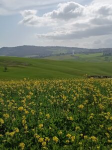 Trekking Val D'Orcia calabria survival