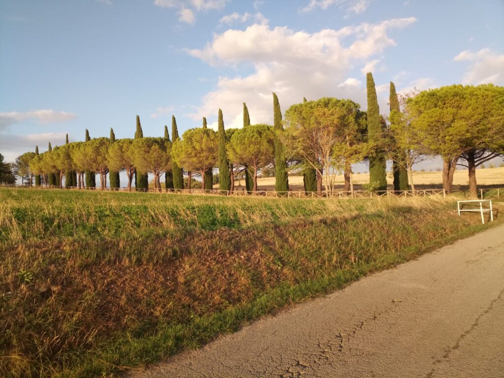 Cammino Guidato dei Borghi Silenti