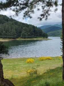 Prato con vista sul lago Ampollino