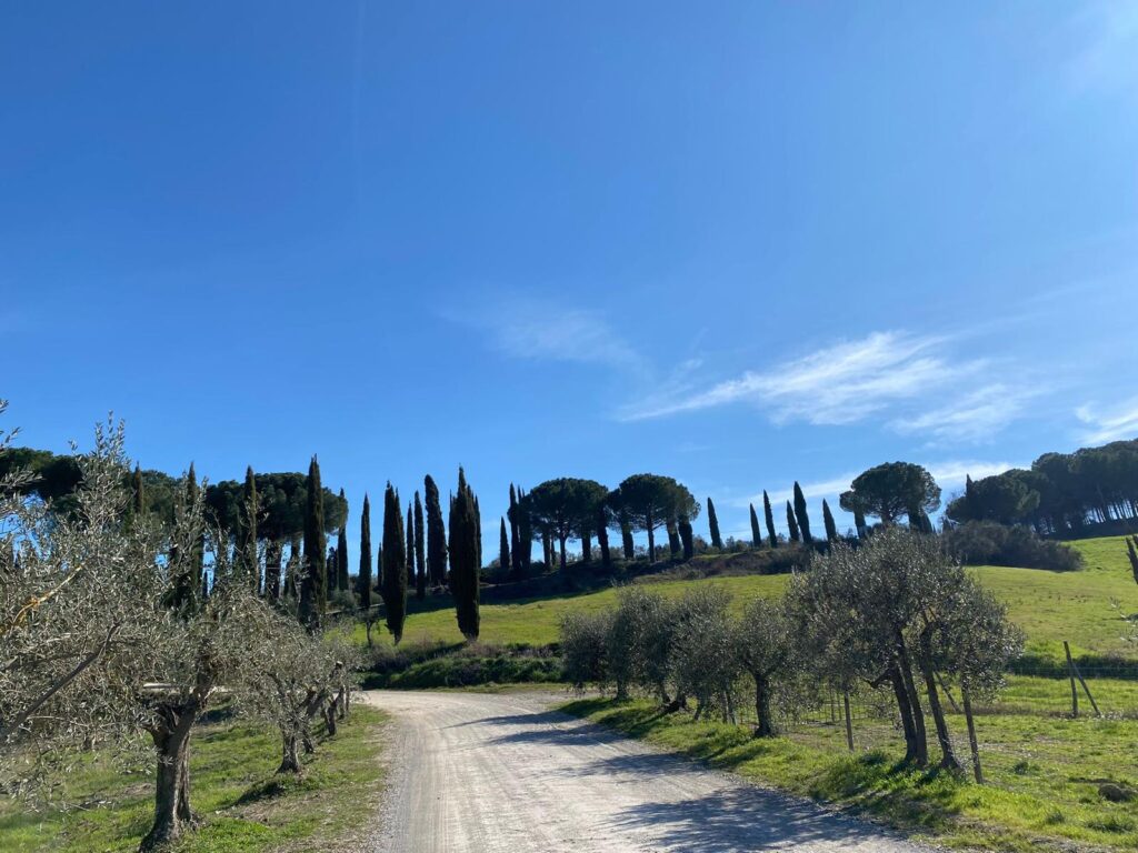 Cammino La Via Francigena