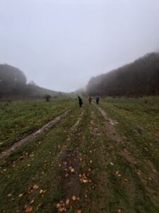 IMG-20241119-WA0052
