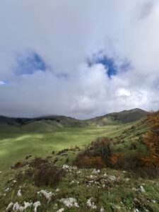 IMG-20241119-WA0071