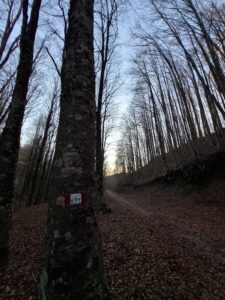 IMG-20241123-WA0073