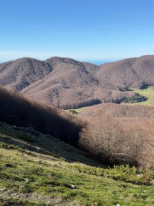 IMG-20241123-WA0141