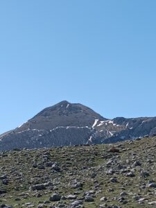 1714764441960