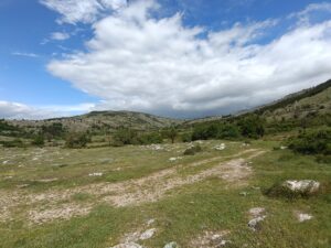 IMG_20240610_103929