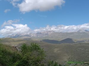 IMG_20240610_140318