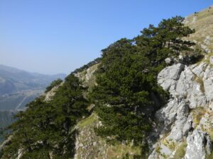 IMG_9290