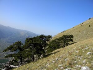 IMG_9295