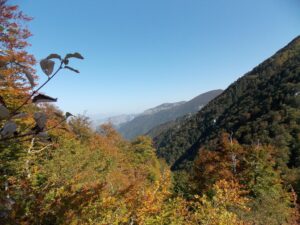 IMG_9313