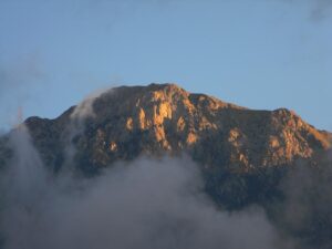 IMG_9316
