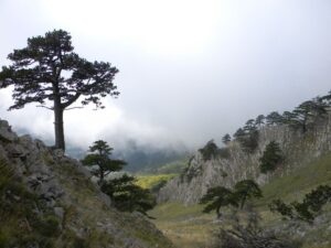 IMG_9323