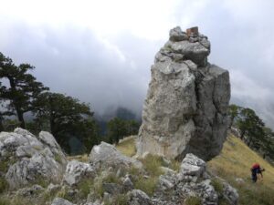 IMG_9330