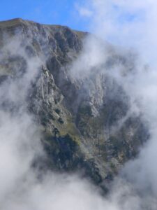 IMG_9332