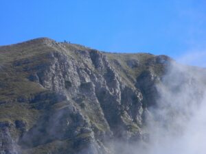 IMG_9333