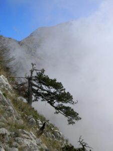 IMG_9334