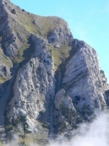 IMG_9343