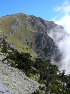 IMG_9345
