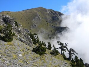 IMG_9348