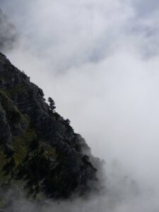 IMG_9351