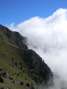 IMG_9352