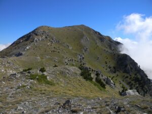 IMG_9354