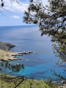 Isola di Marettimo vista sulla cala lato ovest di punta Bassana