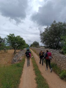 Cammino Materano - via Peuceta