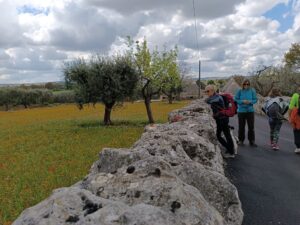 Cammino Materano - via Peuceta