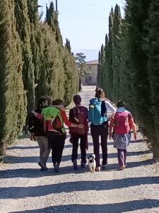 La via Francigena da Lucca a Siena