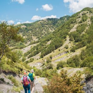 Dove fare trekking in calabria nel parco nazionale del pollino - monti di verbicaro